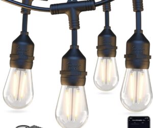 String Lights (Black)